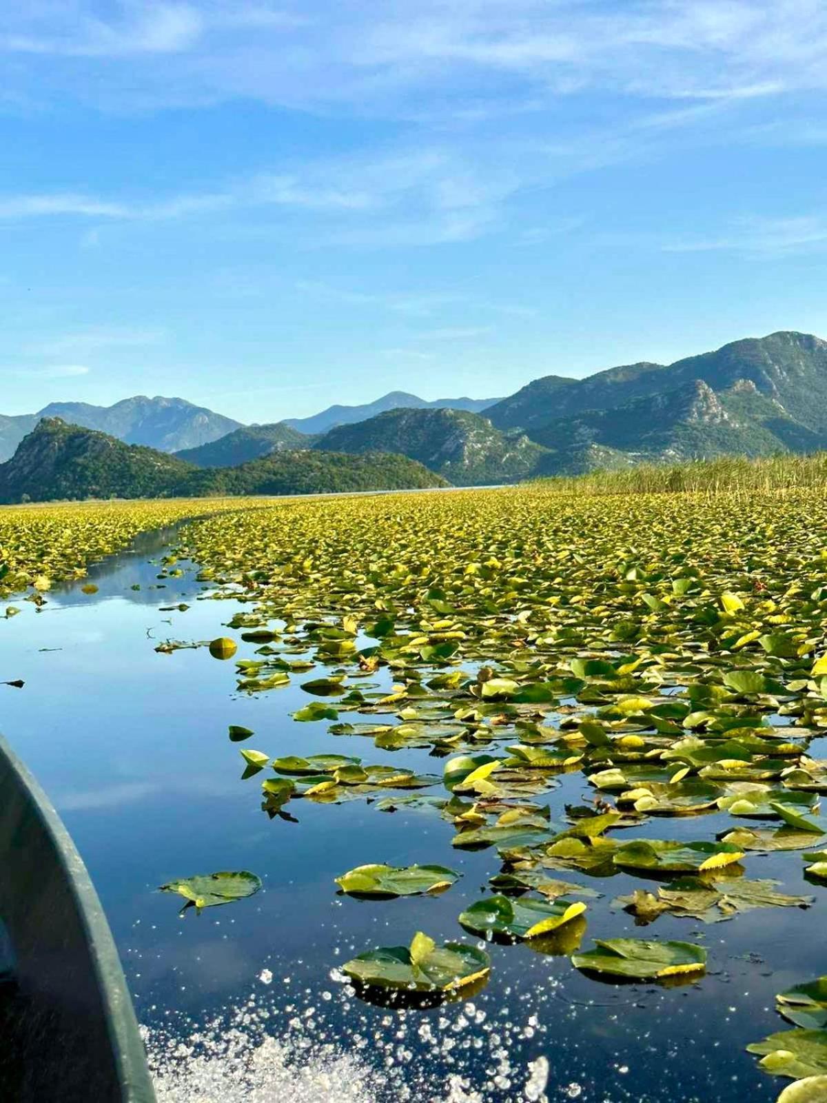 Casa Di Kiara, Skadar Lake Dodosi Buitenkant foto